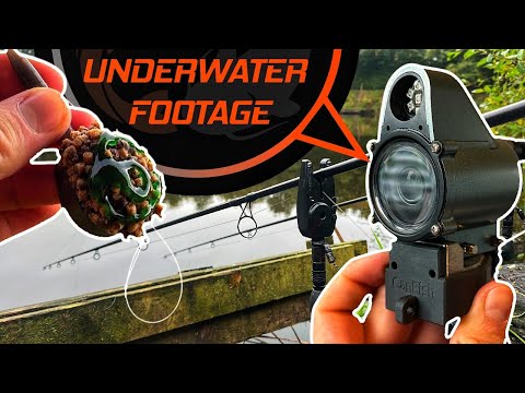 Видео: Осенняя рыбалка на фидер | Подводные съёмки
