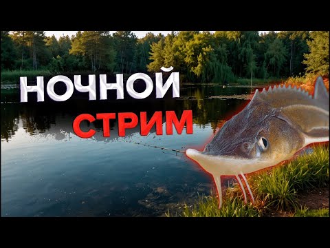 Видео: Русская Рыбалка 4.Ночной стрим.#russianfishing4 #рр4.#russianfishing4 #рр4