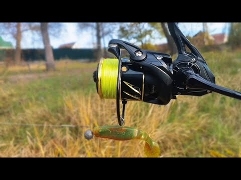 Видео: Шукаємо щуку на заліві.