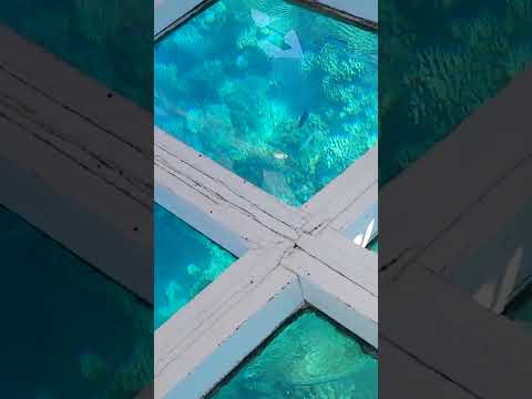 Видео: Привет всем. Кораблики. Смотрим рыбки.