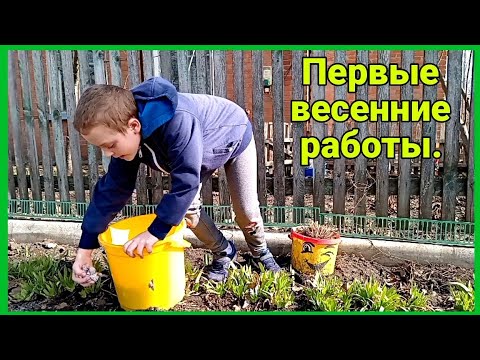 Видео: Сорок Святых,помидоры на рассаду,аквариум и садовые работы.