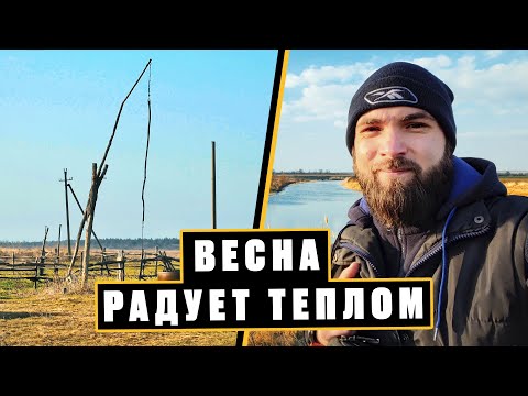 Видео: Природа просыпается! Скоро в этих местах будет красота!