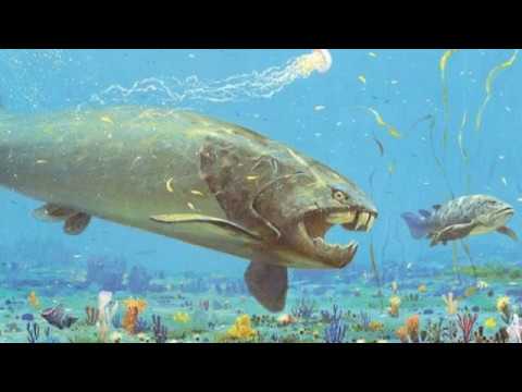 Видео: Палеонтолог Александр Марков — Происхождение жизни, начало эволюции на Земле