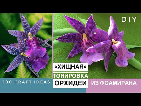 Видео: Тонировка фоамирана. ТОНИРОВКА ОРХИДЕИ ИЗ ФОАМИРАНА. Масляная пастель, маркер, эффекты в тонировке