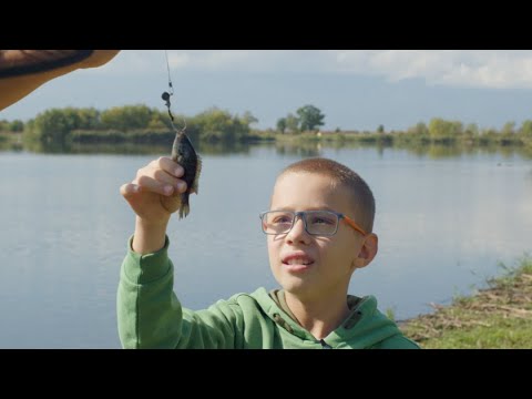 Видео: Какво не знаем за рибите? „Уча, зная и играя“ - 17.11.2024