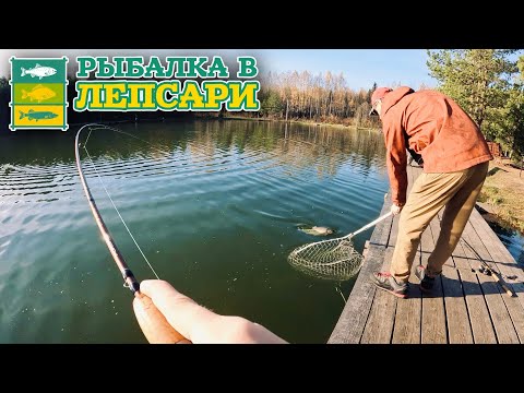 Видео: Ловля форели на платнике | Рыбалка в Лепсари.