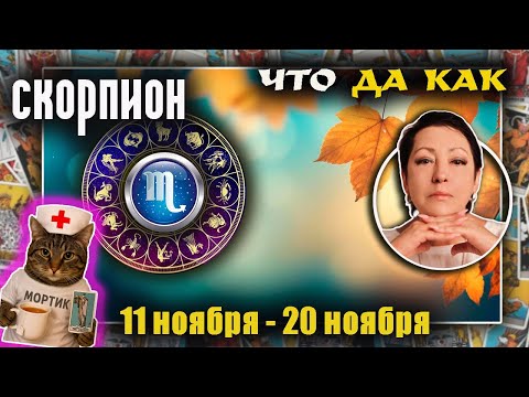 Видео: Скорпион | Прогноз с 11 по 20 ноября