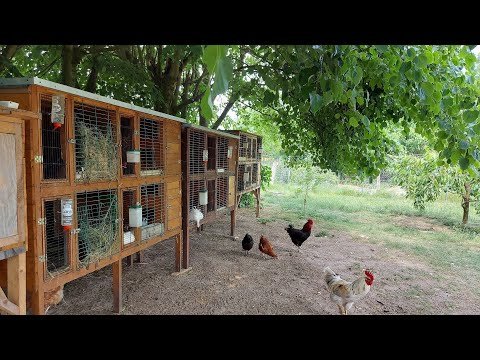 Видео: ПЕРЕНЁС КРОЛЬЧАТНИК В ТЕНЬ 🐇КРОЛИКИ🐰ДЕРЕВНЯ⛪ГЕРМАНИЯ