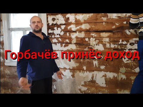 Видео: Снятие обоев с деревянных стен это тоже работа.Превращение обычного куска мяса в шейную часть в печи