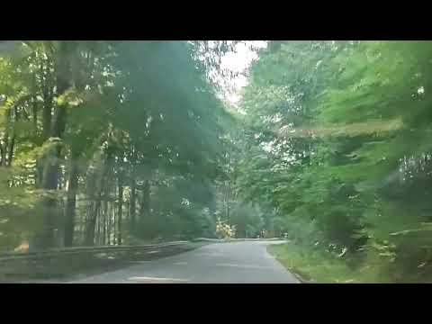 Видео: През прохода Твърдица - Елена. Колко е красива България! ( без звук)