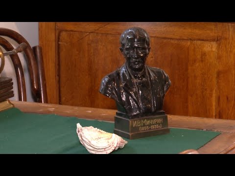 Видео: Специальный репортаж (29.10.20)