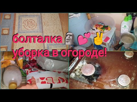 Видео: ОДНА в хуторе. БОЛТАЛКА. МОТИВАЦИЯ НА УБОРКУ: огород, дом!