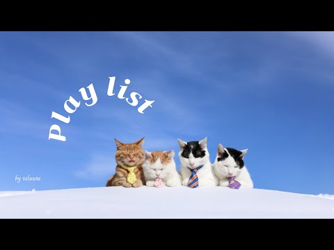 Видео: 𝐏𝐥𝐚𝐲𝐥𝐢𝐬𝐭 [Cafe] Влюбилась с первых нот🎵🤣 Осенние хиты для настроения | Рабочий плейлист