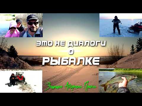 Видео: Рыбалка у чёрной дыры. Ловля налима. Серия шестьдесят шестая.