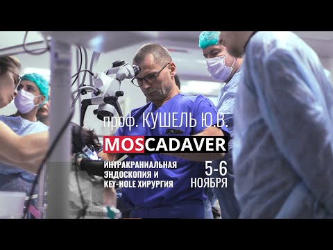 Видео: Кадавер для нейрохирургии "Интракраниальная эндоскопия и KEY-HOLE хирургия", профессор Кушель Ю.В.