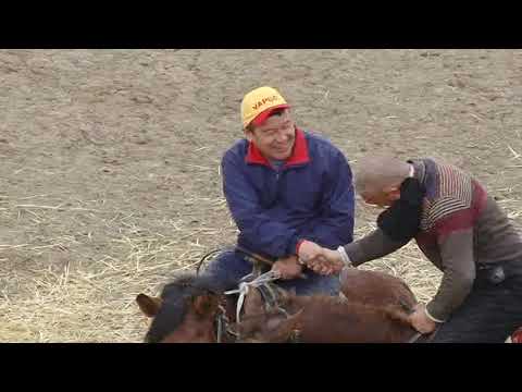 Видео: Купркари 2018 йил 3-кисм