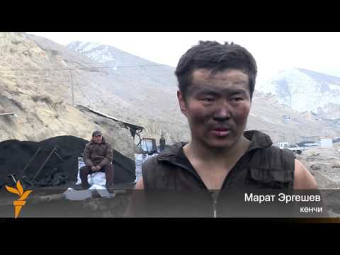 Видео: Мыйзамсыз көмүр казгандар