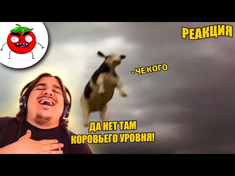 Видео: ▷ ЗАСМЕЯЛСЯ ПРОИГРАЛ | ТЕСТ НА ПСИХИКУ ЧЕЛЕНДЖ | ЛУЧШИЕ ПРИКОЛЫ | РЕАКЦИЯ