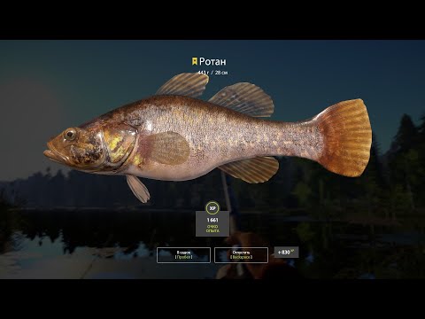 Видео: Russian Fishing 4 Клёвые места. Трофейный Ротань. Старый Острог.