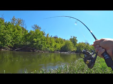Видео: ЧТО ЭТО ВООБЩЕ ПРОИСХОДИТ? ОГРОМНАЯ СТАРАЯ РЫБИНА в малой реке. Рыбалка на спиннинг в мае