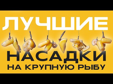 Видео: 6 ЛУЧШИХ насадок из КУКУРУЗЫ на КРУПНУЮ рыбу. Мои секреты
