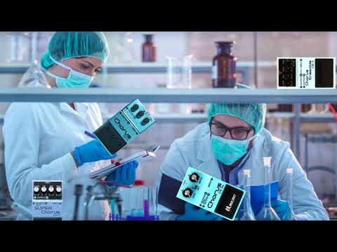 Видео: Тайны Босовских хорусов