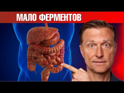 Видео: Из-за недостатка этих ферментов у вас проблемы с пищеварением😲