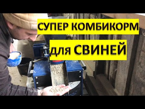 Видео: ОТКОРМ СВИНЕЙ НА НЕЙ САМОЕ ТО//ГРАНУЛЯЦИЯ КОМБИКОРМА ОПРАВДЫВАЕТ СЕБЯ