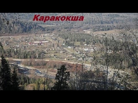 Видео: Как и на что живут в нашей деревне Алтая #жизньвдеревне #алтай #мамасалтая  #какживутвдеревне