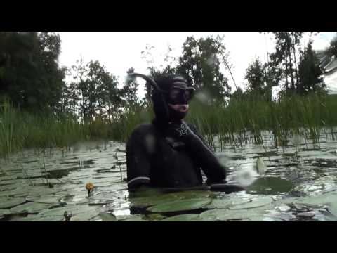 Видео: Подводная Охота на Укромном Озере.   Шкиль Игорь