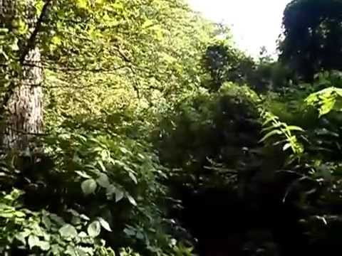 Видео: Ущелье ведьм. Баянаул. Казахстан. Часть 1