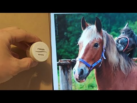 Видео: Эфир Наброски Животных Крафт Белила Самоизоляция