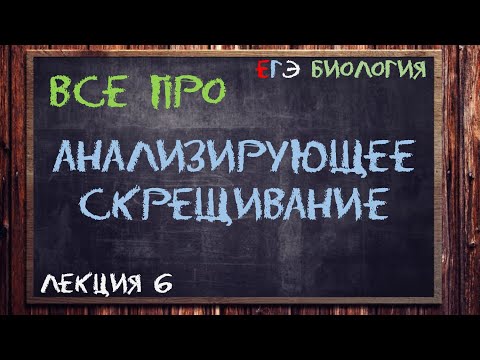 Видео: Л.6 | АНАЛИЗИРУЮЩЕЕ СКРЕЩИВАНИЕ | ГЕНЕТИКА | ОБЩАЯ БИОЛОГИЯ ЕГЭ