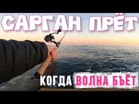 Видео: Рыбалка на саргана. Сарган на что ловить. Сарган на пилькер. Сарган как ловить. Оснастка на саргана.