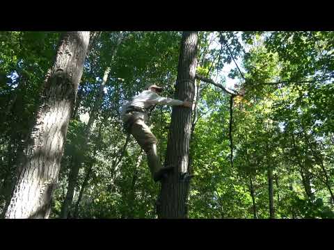 Видео: 76. Платформа против колец ступеней, маневрирование вокруг дерева, использование дерева в качеств...