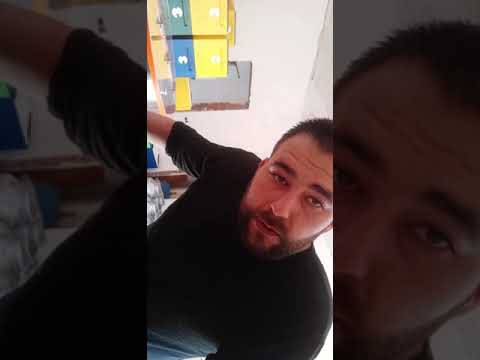 Видео: Все секреты пчеловодства!!!