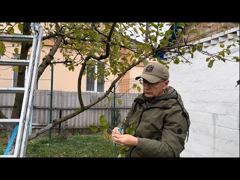 Видео: ОБРЕЗКА 🪚ЯБЛОНИ 🍏БЕЛЫЙ НАЛИВ 24.10.2025. 