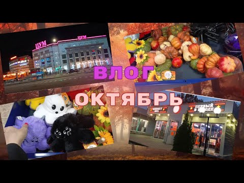 Видео: ВЛОГ | кринжовое платье с ВБ | ехали 70 км за бургерами | покупки ЗЯ   | распаковки