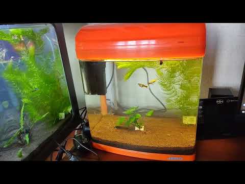 Видео: Аквариум Jebo R331 (20 литров)