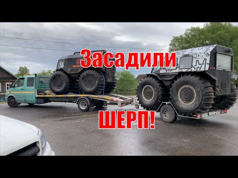 Видео: Рдейское болото. Засадили Шерп Макс!