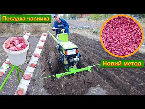 Видео: Чеснок. Посадка по НОВОМУ!