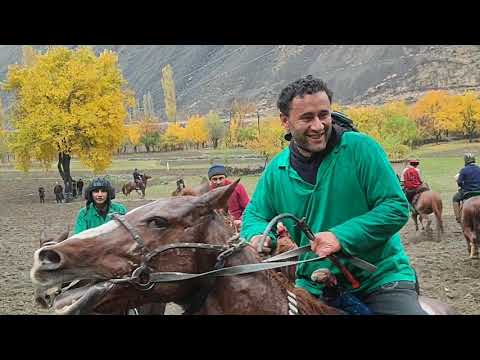 Видео: Бузкаши дар ноҳияи Айни. деҳаи ВЕШАБ