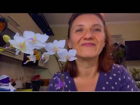 Видео: КАК ПЕРЕСАДИТЬ ЯПОНСКУЮ ОРХИДЕЮ в ЗАКРЫТУЮ СИСТЕМУ БЕЗ КОРЫ