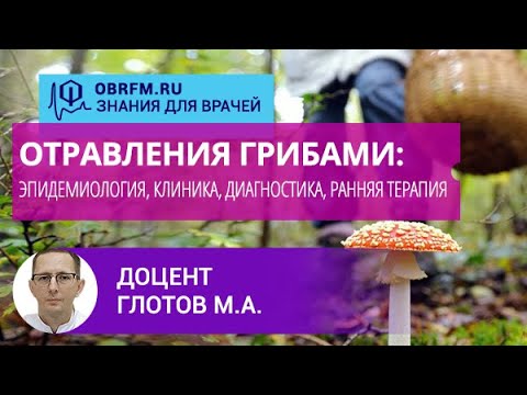 Видео: Доцент Глотов М.А.: Отравления грибами: эпидемиология, клиника, диагностика, ранняя терапия