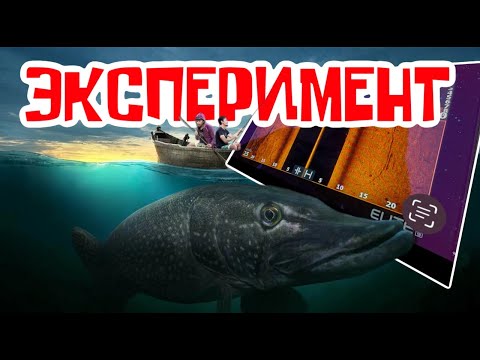 Видео: ЭКСПЕРИМЕНТ!!! Эхолот на подводной охоте. Стоит ли покупать? Можно добыть рыбу с помощью эхолота?