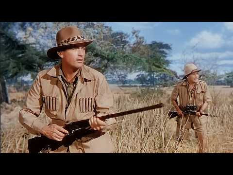 Видео: Снега Килиманджаро (Грегори Пек, 1952) Приключения | Полный фильм | С русскими субтитрами