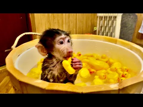 Видео: Ничего НЕ МОЖЕМ ПОНЯТЬ, Анфиса во время купания сегодня устроила нам просто истерику(((