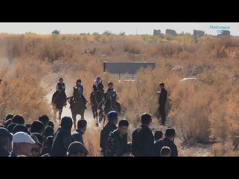 Видео: 20 октября Торткул Я.Иламанов атчапар