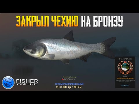 Видео: Fisher Online - Чехия на бронзу, толстолобик белый, осётр озёрный, густера #29