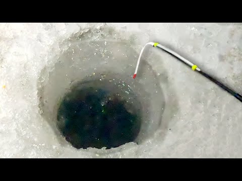 Видео: КИВОК в СПИРАЛЬ!!! НЕ успевает УПАСТЬ мормышка! Она ПРИКИНУЛАСЬ НОВИЧком?